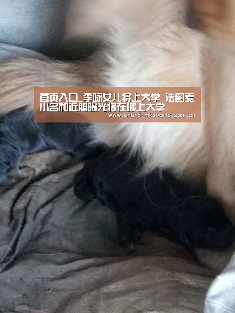 首页入口_李咏女儿将上大学 法图麦小名和近照曝光将在哪上大学(图2) 首页入口