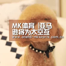 MK体育 |亚马逊将为太空互联网柯伊伯项目设立新总部(图1) MK SPORTS官方网站