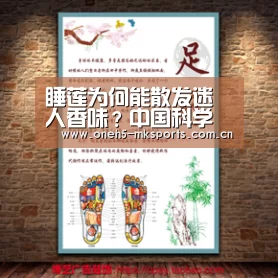MK体育 