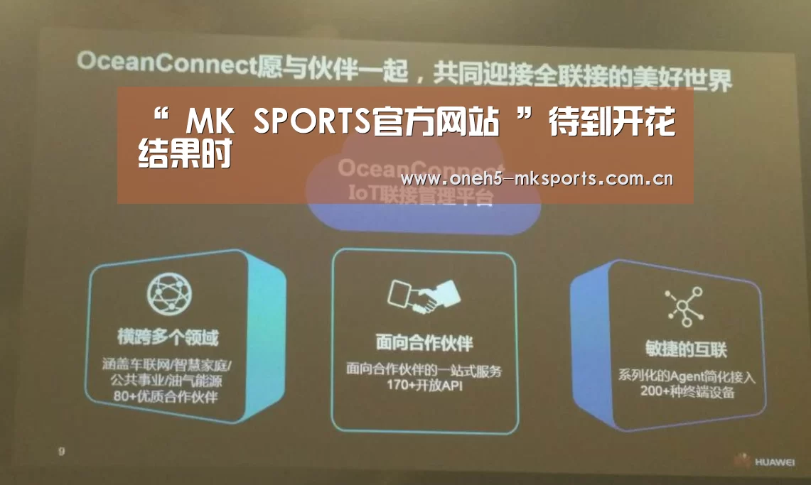  首页入口